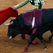 P12-69372.jpg