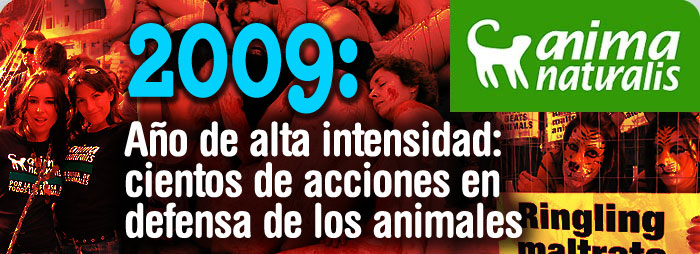 Descarga imagen | 2009: Un año de alta intensidad: cientos de acciones en defensa de los animales