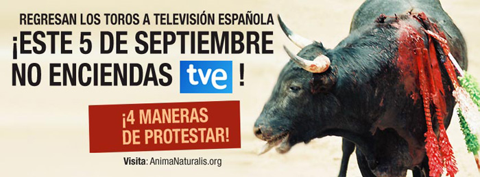 Los toros volverán a TVE casi seis años                              después ¡Cuatro maneras de protestar!