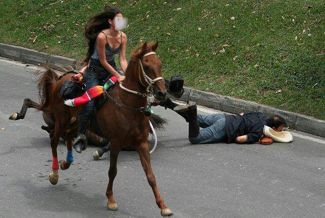 ¡Actúa! AnimaNaturalis denuncia ante Personería, el desfile a caballo feria de las flores 
