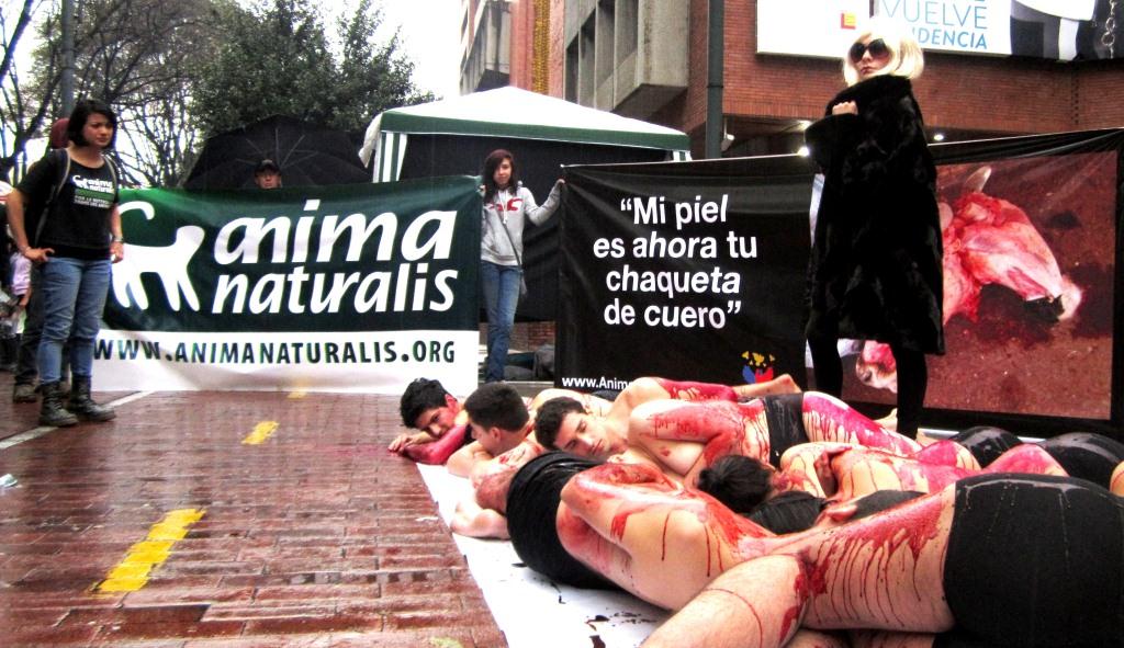 AnimaNaturalis realizó acto en contra del uso de pieles en boicot a Lady Gaga