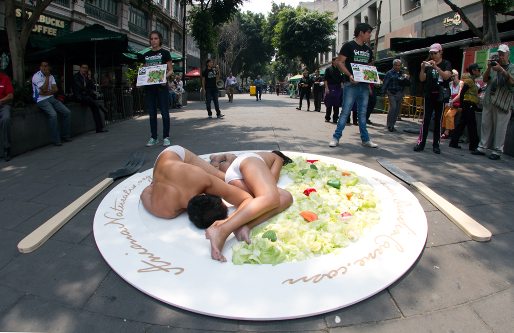 Múltiples acciones en México para conmemorar el Día Mundial Sin Carne
