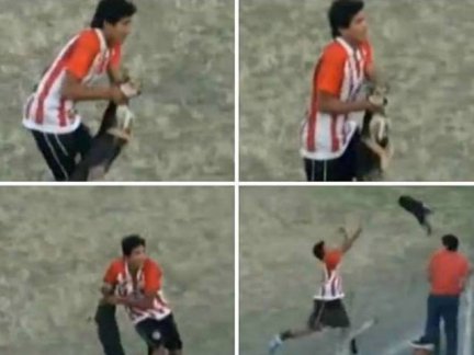 Futbolista maltrató a un perro y lo echaron