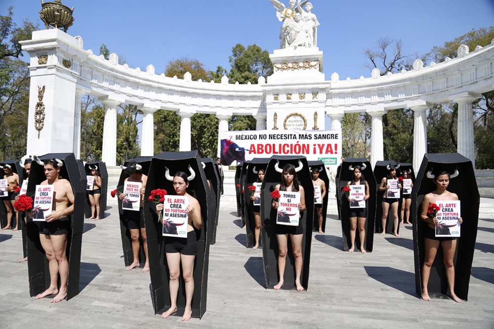 ¡Con novedoso acto, AnimaNaturalis exigió la prohibición de la tauromaquia en México!