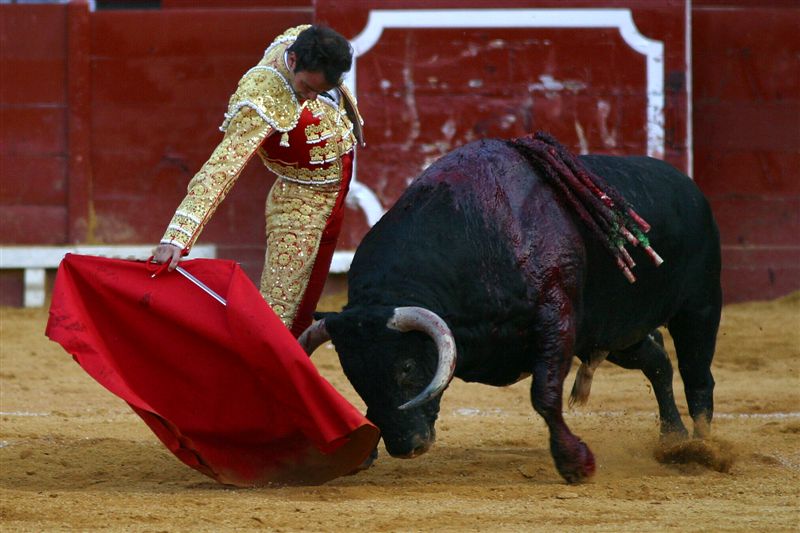 Las Cortes de Aragón rechazan declarar los toros Bien de Interés Cultural