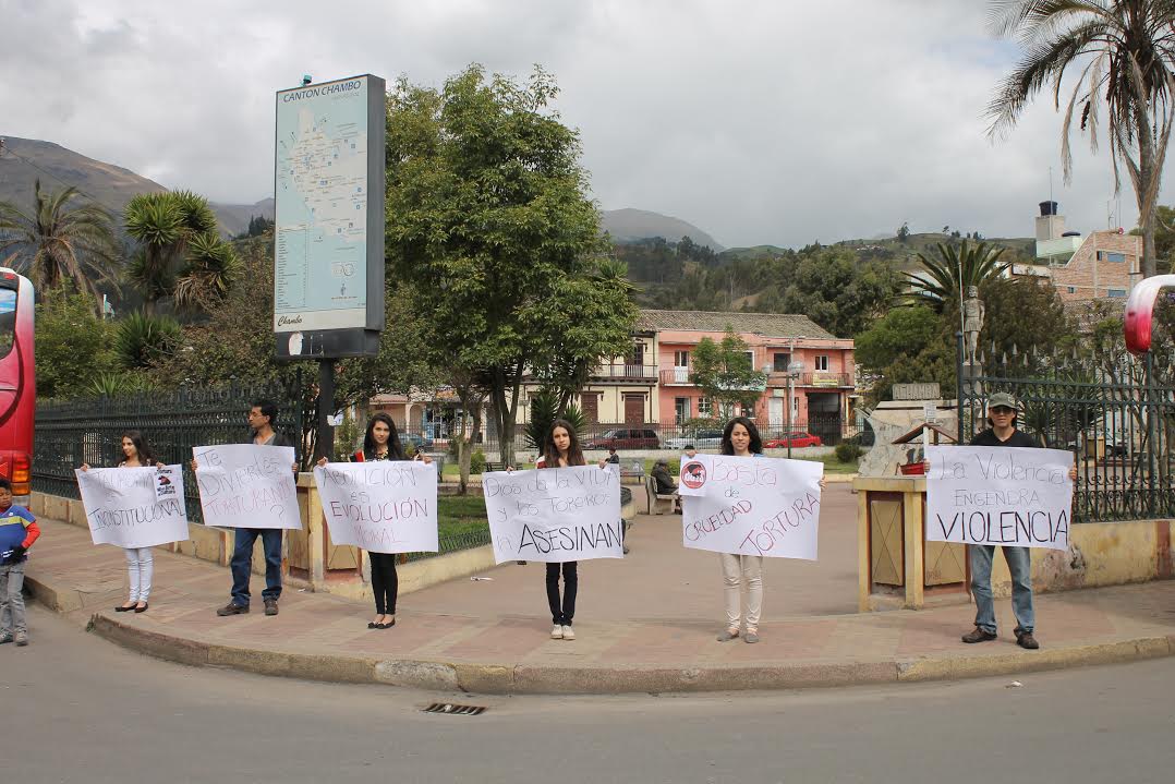 Equipo AnimaNaturalis en Ecuador logra clausurar evento organizado por el reality taurino “Operación Triunfo”