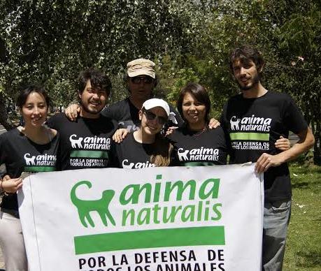 Equipo de trabajo de AnimaNaturalis en Ecuador se fortalece