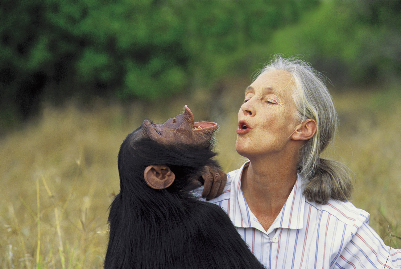 Los 81 años de Jane Goodall