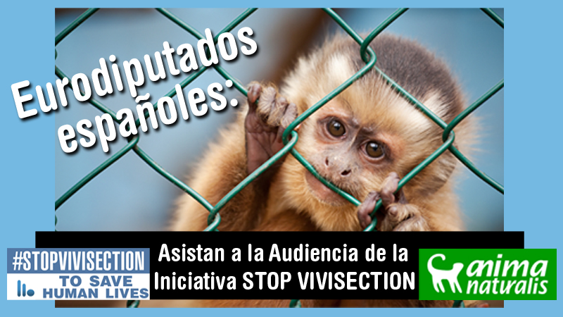 Que los eurodiputados españoles ayuden a Stop Vivisection, ¡escríbeles!