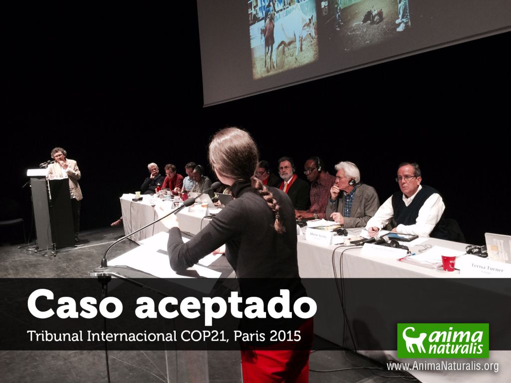  Tribunal Internacional COP21 acepta caso de crueldad en corralejas colombianas