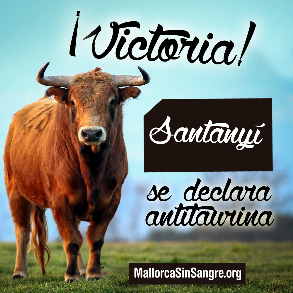 ¡Victoria! Santanyí vota a favor de abolir la tauromaquia en Mallorca