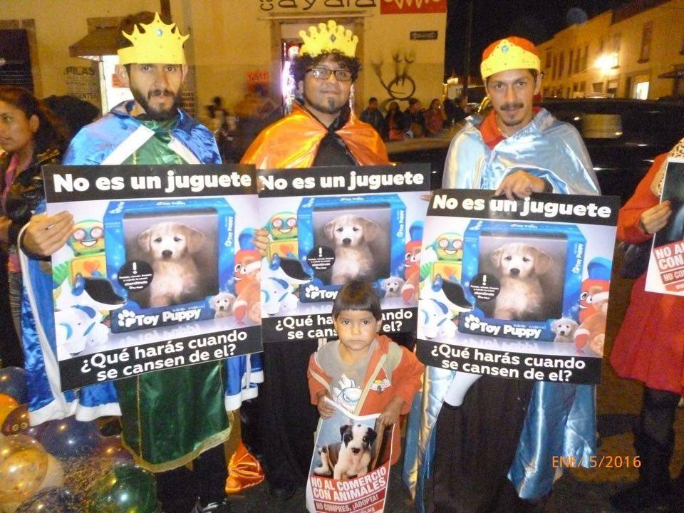 Lanzamos campaña “No al comercio animal” en Morelia