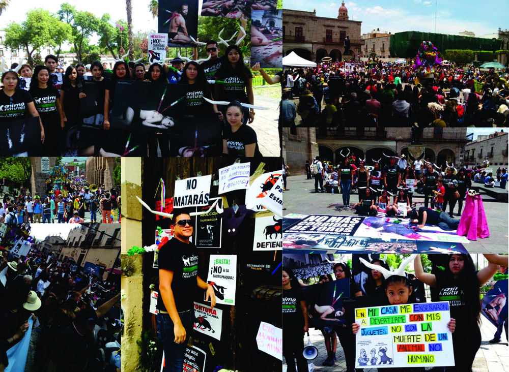 Participamos en marcha antitaurina en Morelia