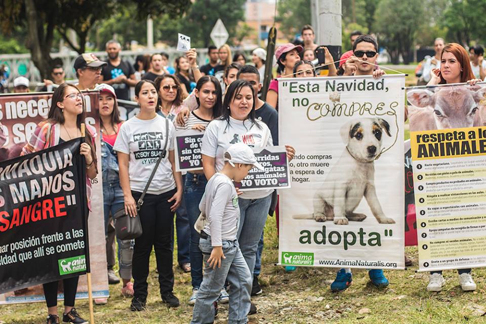En Medellín marcharon para conmemorar el Día Mundial de los Animales