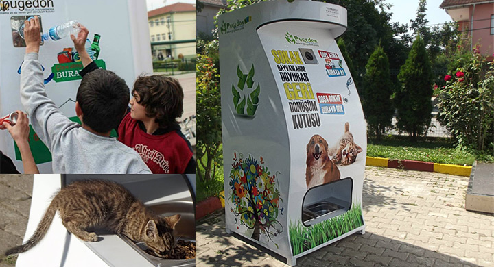 Jóvenes de Lima instalarán dispensador de comida para animales sin hogar