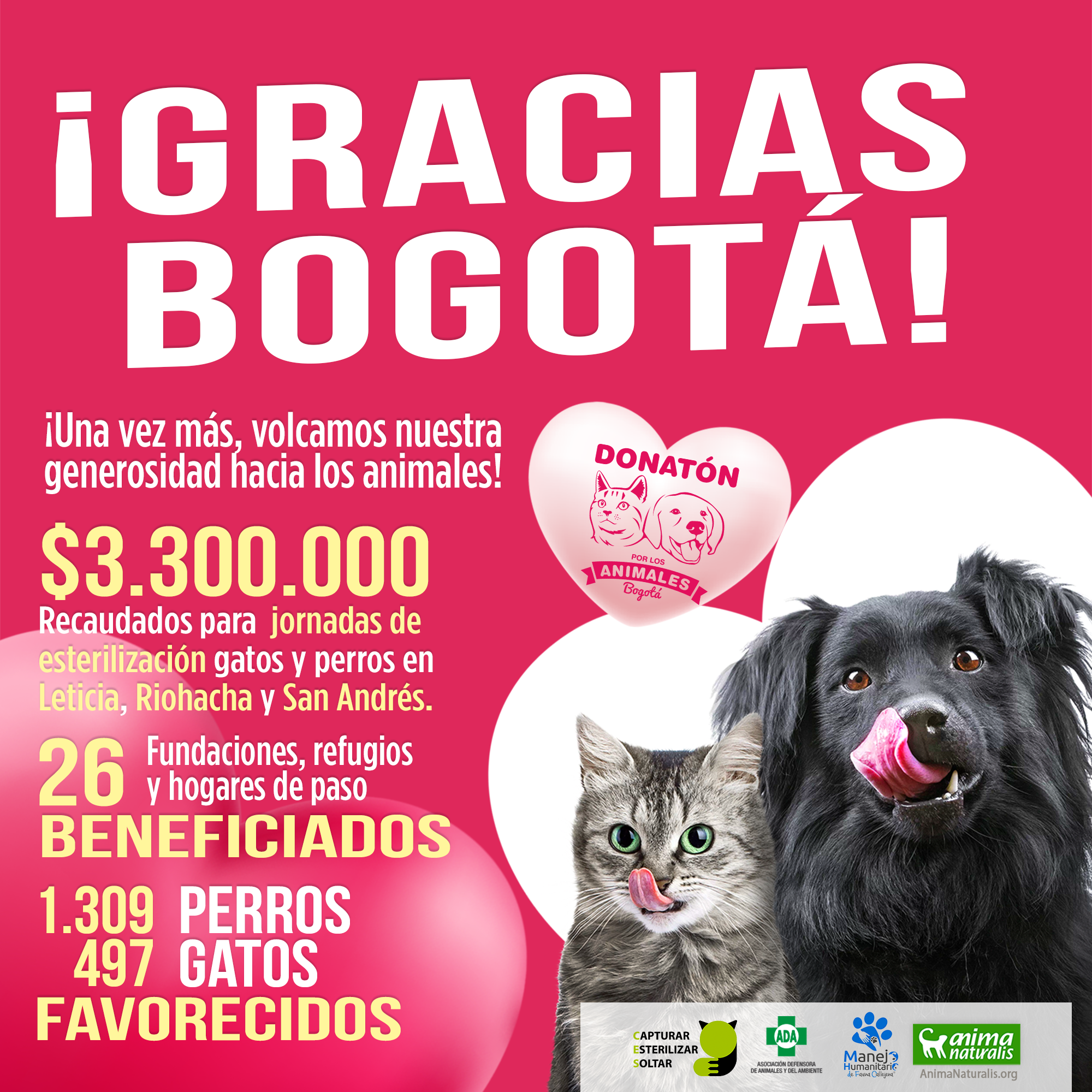 ¡Gracias Bogotá! 1.309 perros y 497 gatos serán beneficiados con Donatón