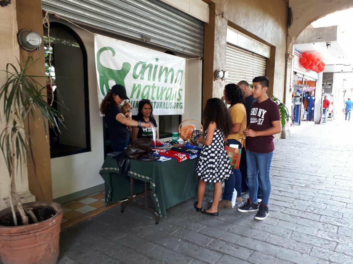 AnimaNaturalis realiza campaña de esterilización en Michoacán