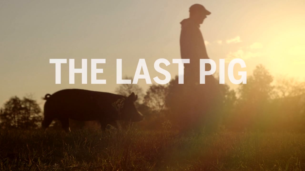 Entrevista a Bob Comis, del documental "The Last Pig"