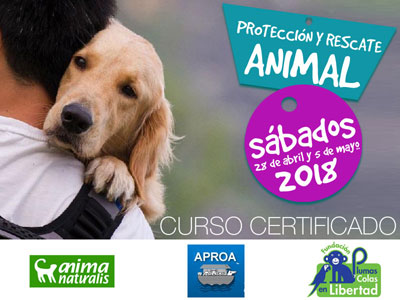 Participa en el curso certificado de protección y rescate animal en Caracas