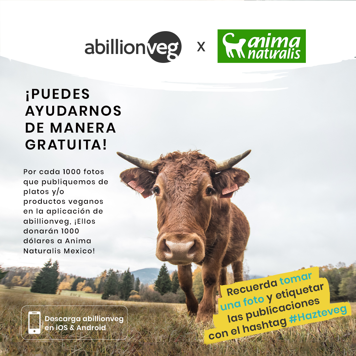 ¡A Billion Veg x AnimaNaturalis… súmate y ayudemos juntos a los animales!