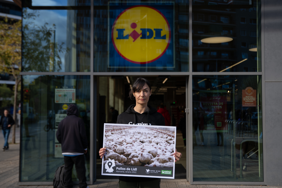 Animalistas se concentran en Barcelona para pedir a Lidl que acabe con el sufrimiento innecesario de los pollos