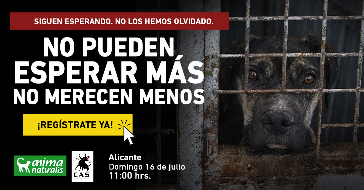¡Te necesitamos para dar voz a las otras víctimas de la caza en Alicante!