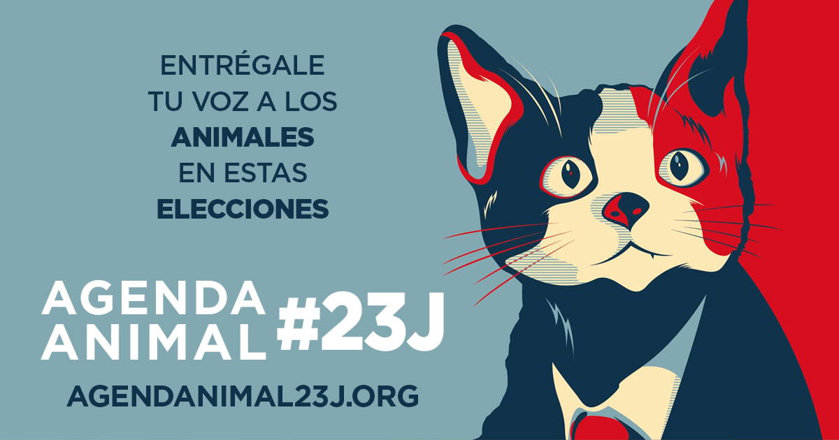 Campaña para influir en la agenda política en España y movilizar el voto este 23J