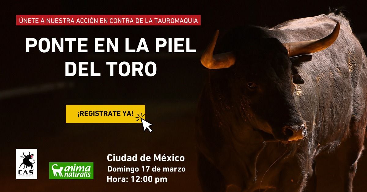 ¡Únete a la acción en homenaje a las víctimas de la plaza México!