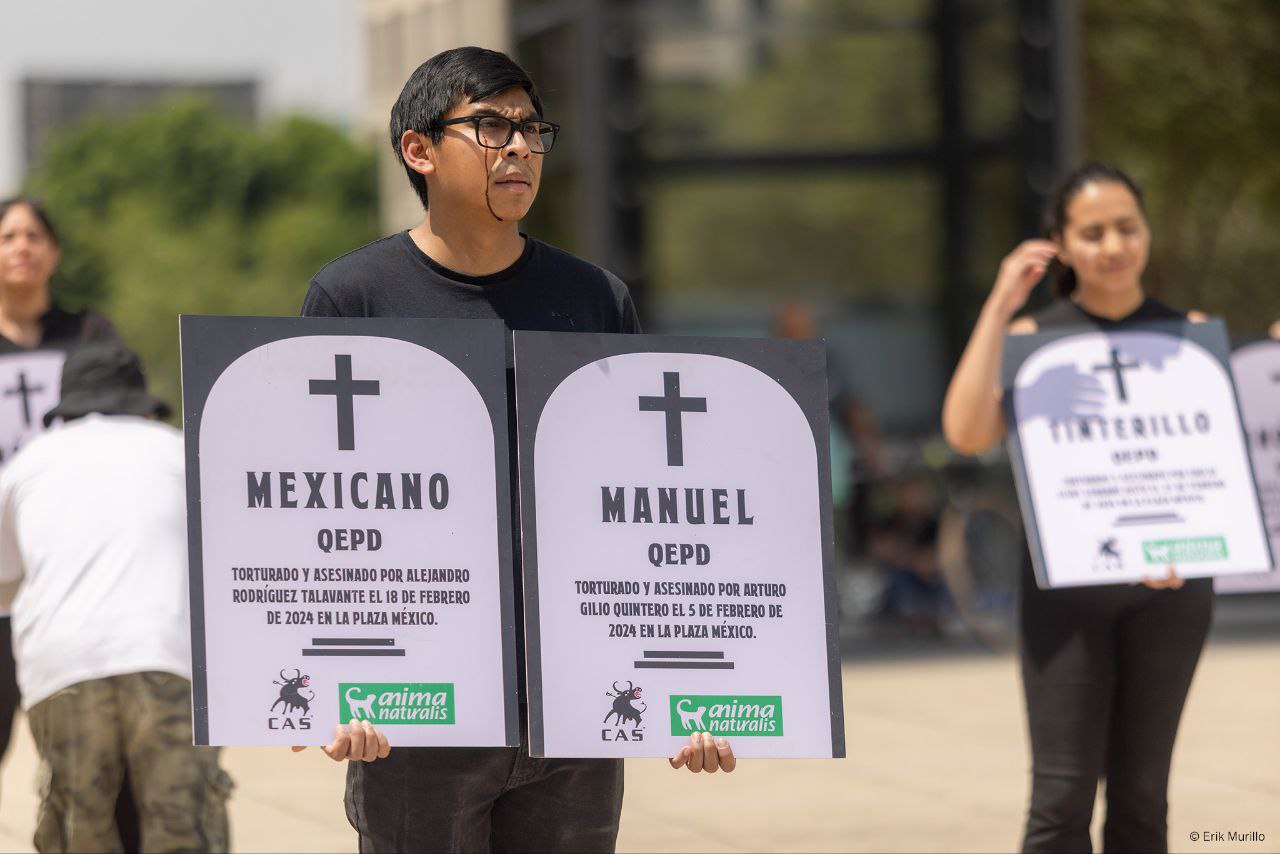 Activistas exigen que no se olvide a los 54 animales muertos en la Plaza de México