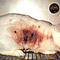 Reino Unido contra experimentación animal