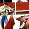 Los vecinos de Manzanares el Real renuncian a los toros por la crisis