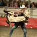 Como si no fuera suficiente con los toros: España importa el rodeo americano