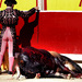 Hoy, aluvión de encuestas por la tauromaquia.