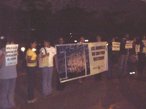 Los animales no son para vestirnos