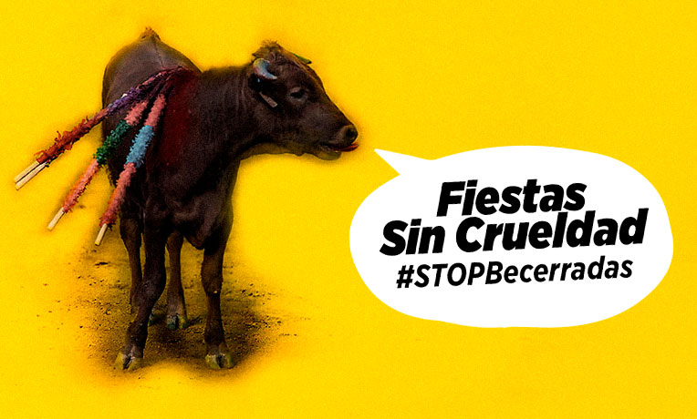 Acabemos juntos con las crueles becerradas