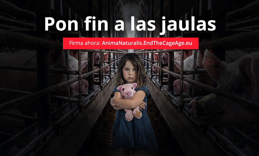 Superemos la era de las jaulas