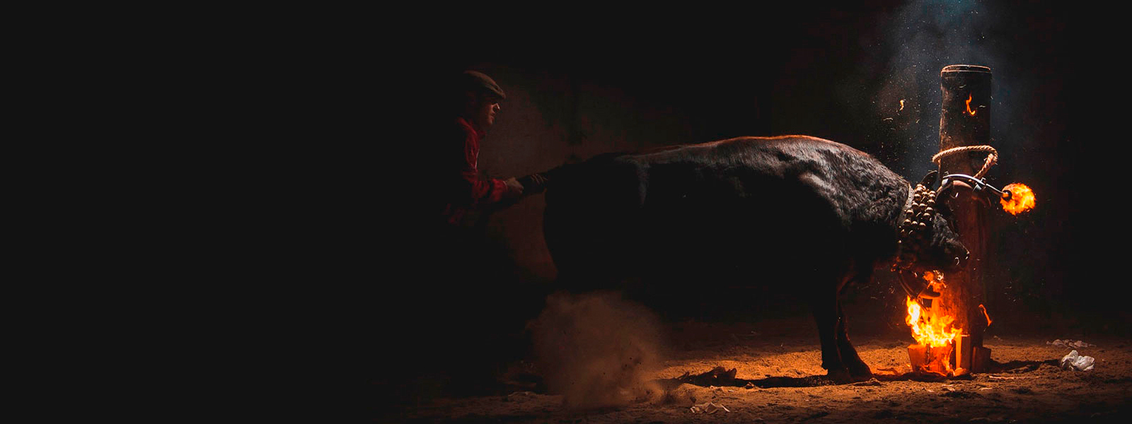 Acabemos con las Fiestas Crueles