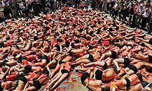 AnimaNaturalis en Acción