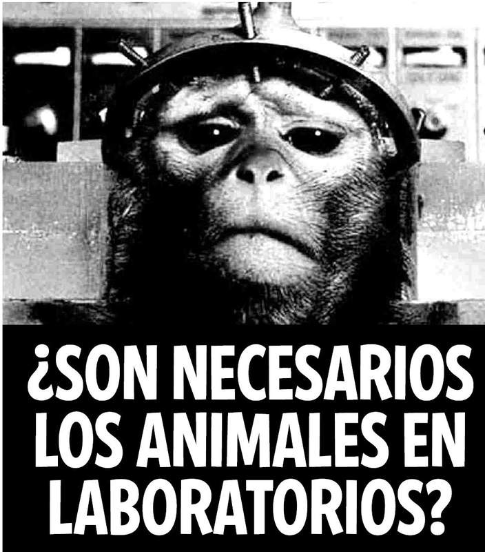 Contra la experimentación con animales, desde una perspectiva ...