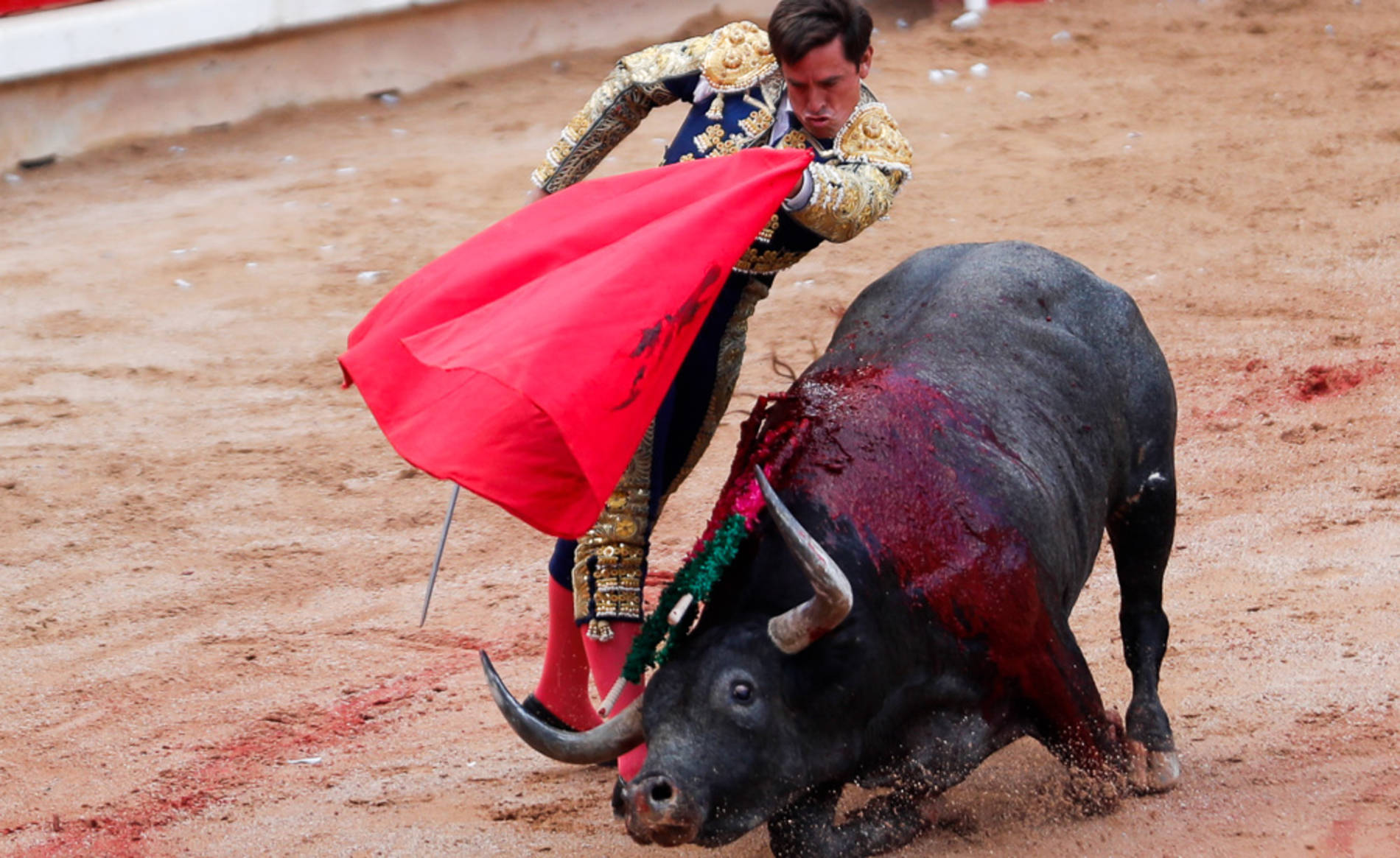 poco de historia de las corridas de toros | AnimaNaturalis