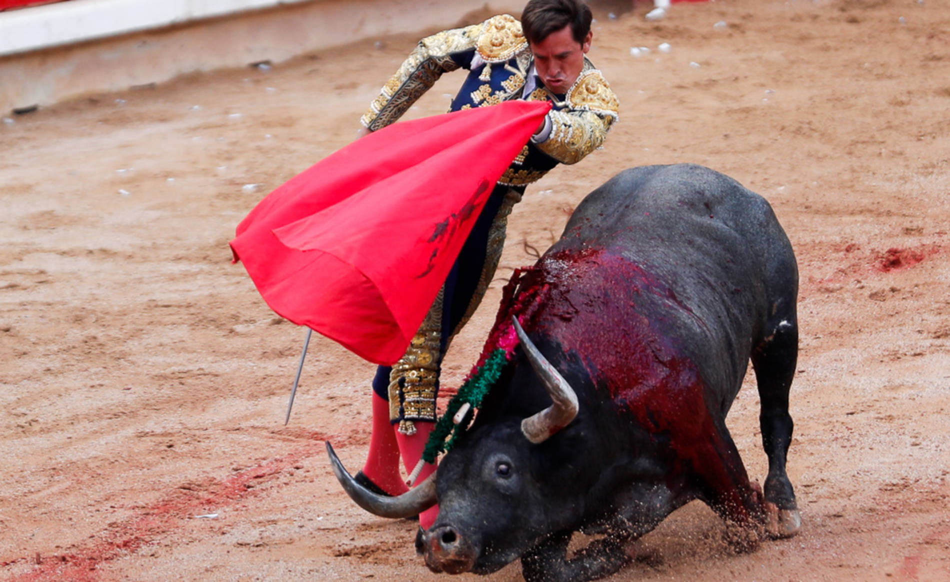 Un poco de historia de las corridas de toros | AnimaNaturalis