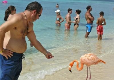 Por un turismo responsable con los animales | AnimaNaturalis