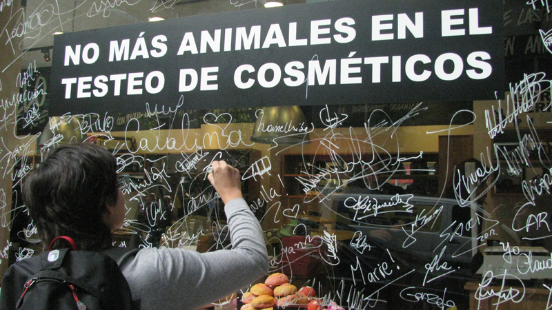 En Chile, AnimaNaturalis se sumo a LUSH en su cruzada contra la experimentación en animales