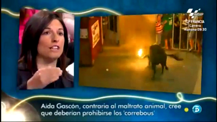 Aïda Gascón habla sobre la tauromaquia en El Gran Debate en Tele5
