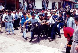 ¡Protesta HOY por inclusión de tauromaquia y vaquilladas en Fiestas Patronales de Xico!