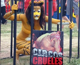 Prohíben los Circos con Animales en Entre Ríos