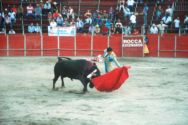 Proyecto de acuerdo prohibió las corridas de toros en La Tebaida, Colombia
