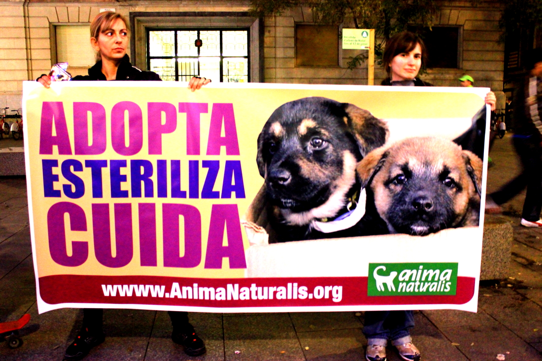 Animanaturalis Protestó Contra La Venta De Animales En Barce
