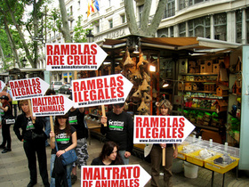 Barcelona prohíbe definitivamente la venta de pájaros en La Rambla