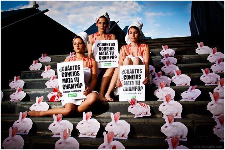 ¡Sao Paulo prohíbe el uso de animales en pruebas de cosméticos!